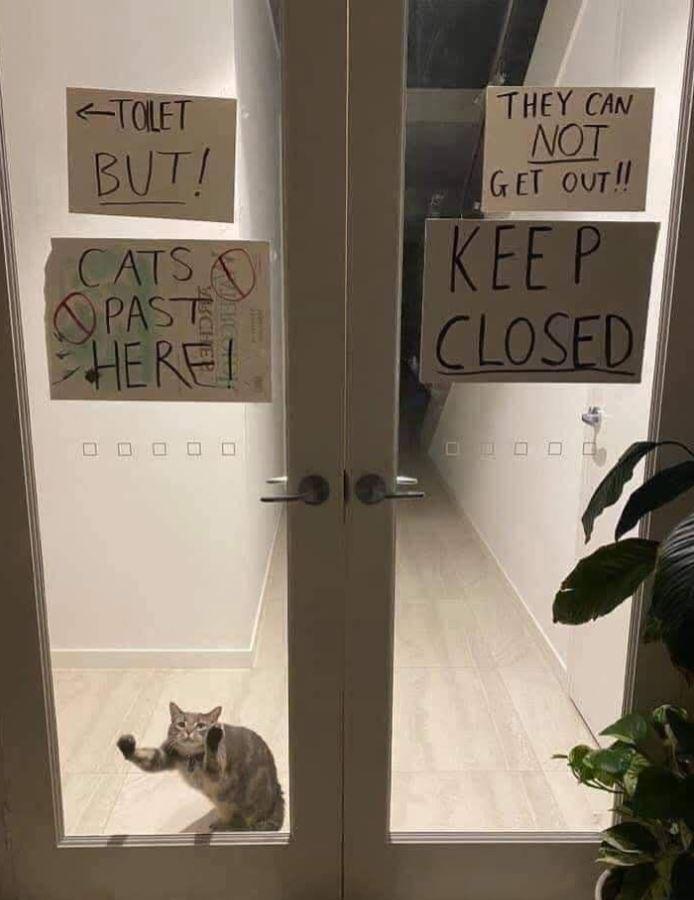 TOLET BUT! THEY CAN NOT GET OUT!! CATSA PAST •HERE! KEEP CLOSED