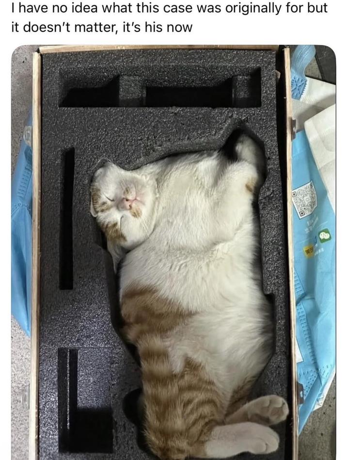 I have no idea what this case was originally for but it doesn't matter, it's his now SAL