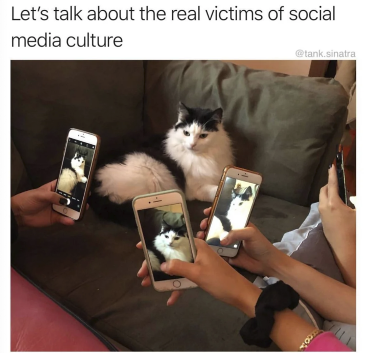 Let's talk about the real victims of social media culture @tank.sinatra