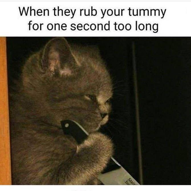 When they rub your tummy for one second too long Stai In