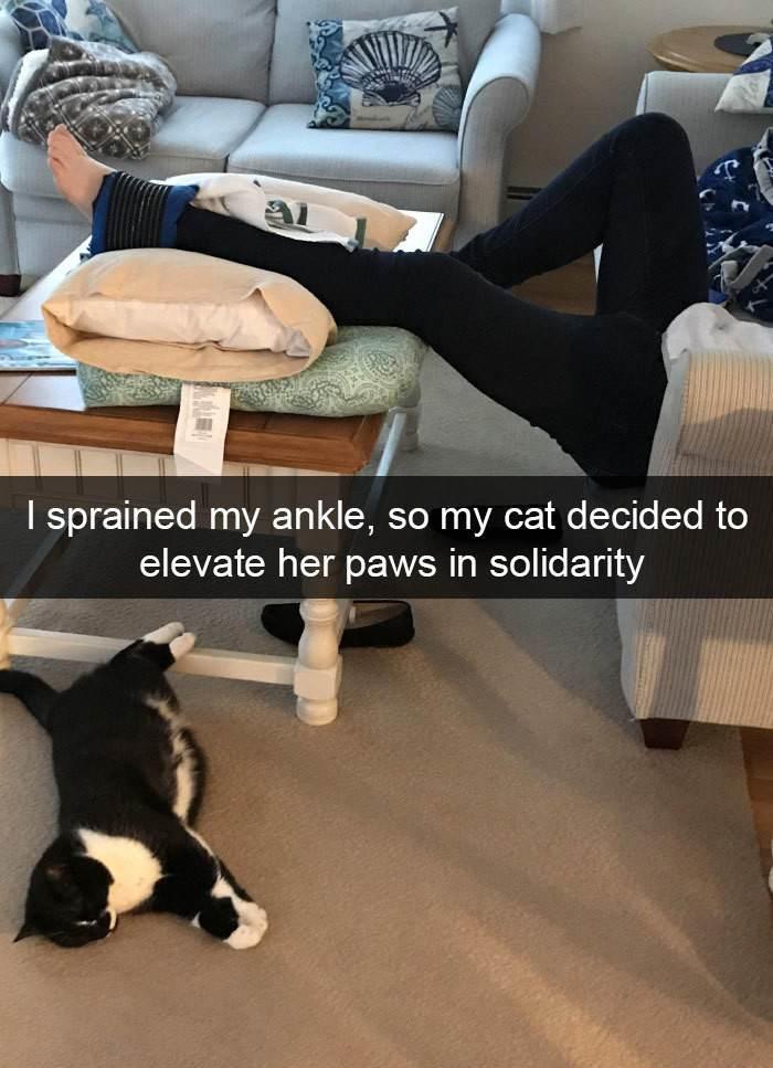I sprained my ankle, so my cat decided to elevate her paws in solidarity