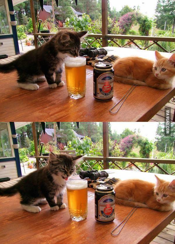 C Bla VIA 9GAG.COM