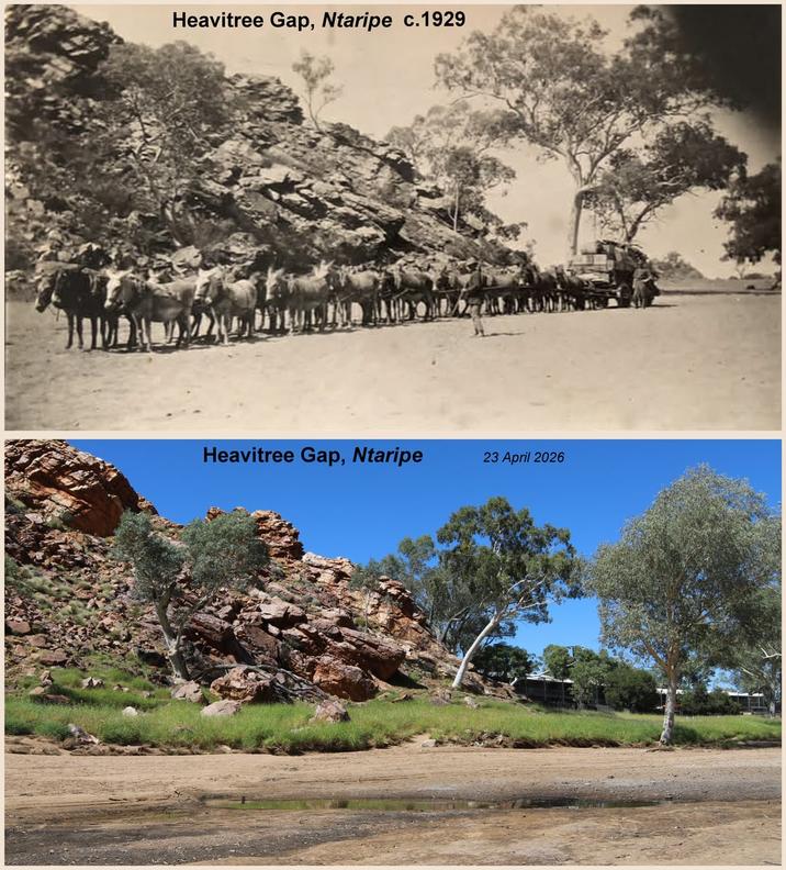 Heavitree Gap, Ntaripe c.1929 Heavitree Gap, Ntaripe 23 April 2026