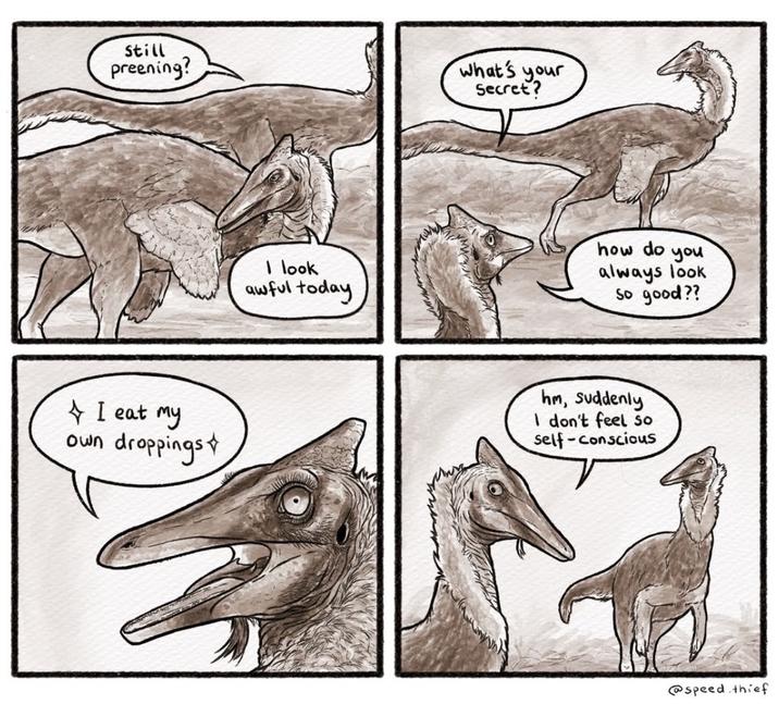 Still preening? What's your Secret? I eat my own droppings I look awful today how do you always look So good?? hm, suddenly I don't feel so self-conscious @speed thief