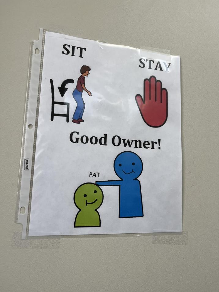 STAPLES SIT STAY 争 Good Owner! PAT