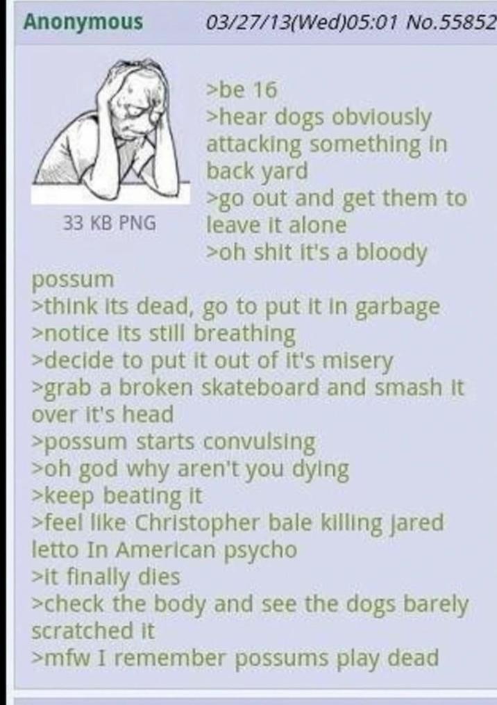 Anonymous 03/27/13(Wed)05:01 No.55852 33 KB PNG possum >be 16 >hear dogs obviously attacking something in back yard >go out and get them to leave it alone >oh s--- it's a bloody >think its dead, go to put it in garbage >notice its still breathing >decide to put it out of it's misery >grab a broken skateboard and smash it over it's head >possum starts convulsing >oh god why aren't you dying >keep beating it >feel like Christopher bale killing Jared letto In American psycho >it finally dies >check the body and see the dogs barely scratched it >mfw I remember possums play dead