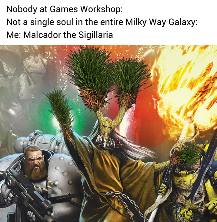 Nobody at Games Workshop: Not a single soul in the entire Milky Way Galaxy: Me: Malcador the Sigillaria