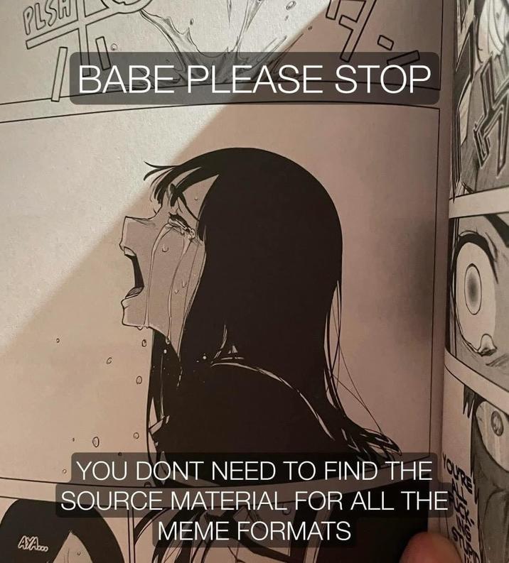 PLS BABE PLEASE STOP С YOU'RE AYA... YOU DONT NEED TO FIND THE SOURCE MATERIAL FOR ALL THE MEME FORMATS
