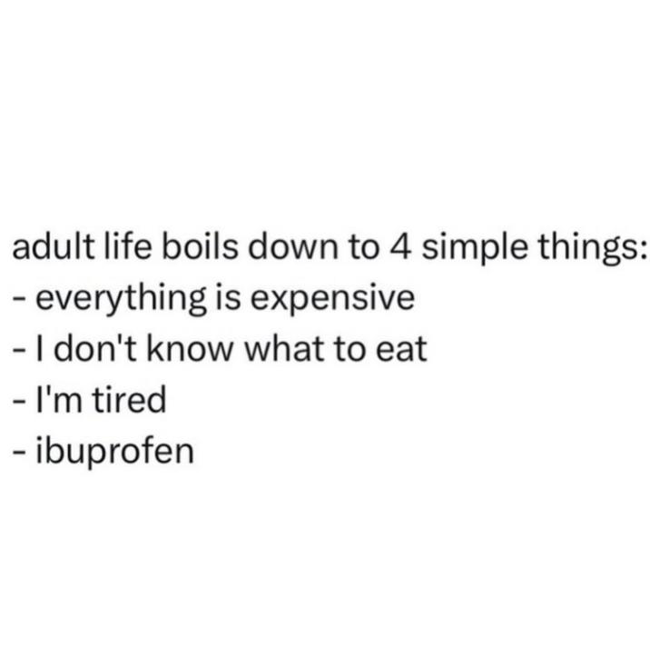 adult life boils down to 4 simple things: - everything is expensive - I don't know what to eat - I'm tired - ibuprofen