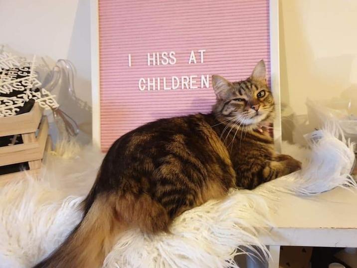 I HISS AT CHILDREN