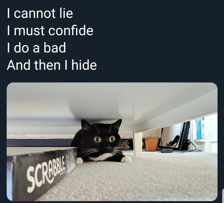 I cannot lie I must confide I do a bad And then I hide SCRABBLE e e