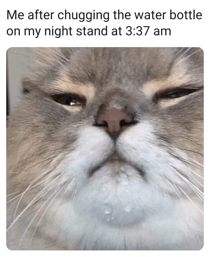 Me after chugging the water bottle on my night stand at 3:37 am