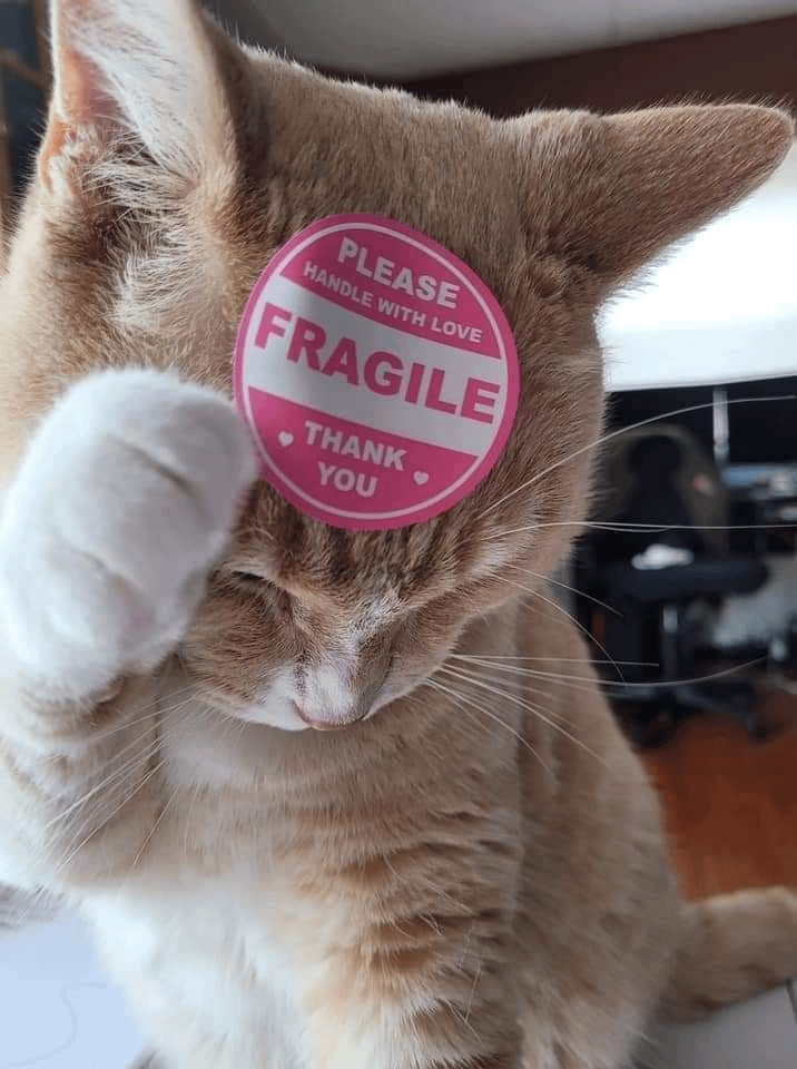 PLEASE HANDLE WITH LOVE FRAGILE THANK YOU