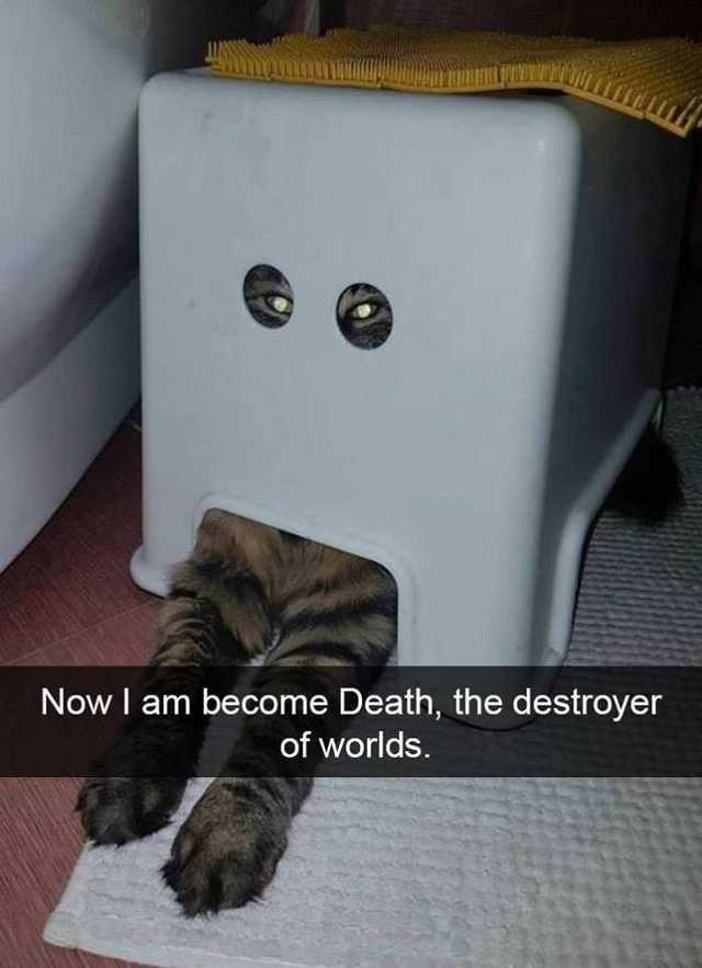 Now I am become Death, the destroyer of worlds.