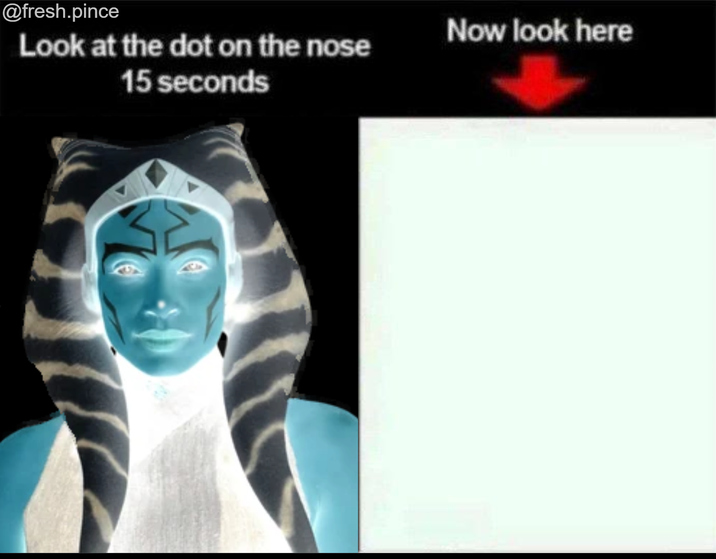 @fresh.pince Look at the dot on the nose 15 seconds Now look here