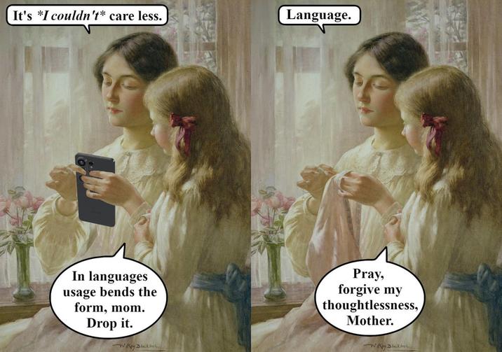 It's *I couldn't* care less. Language. In languages usage bends the form, mom. Drop it. -WKey Blackhe Pray, forgive my thoughtlessness, Mother. -W Key Blackb