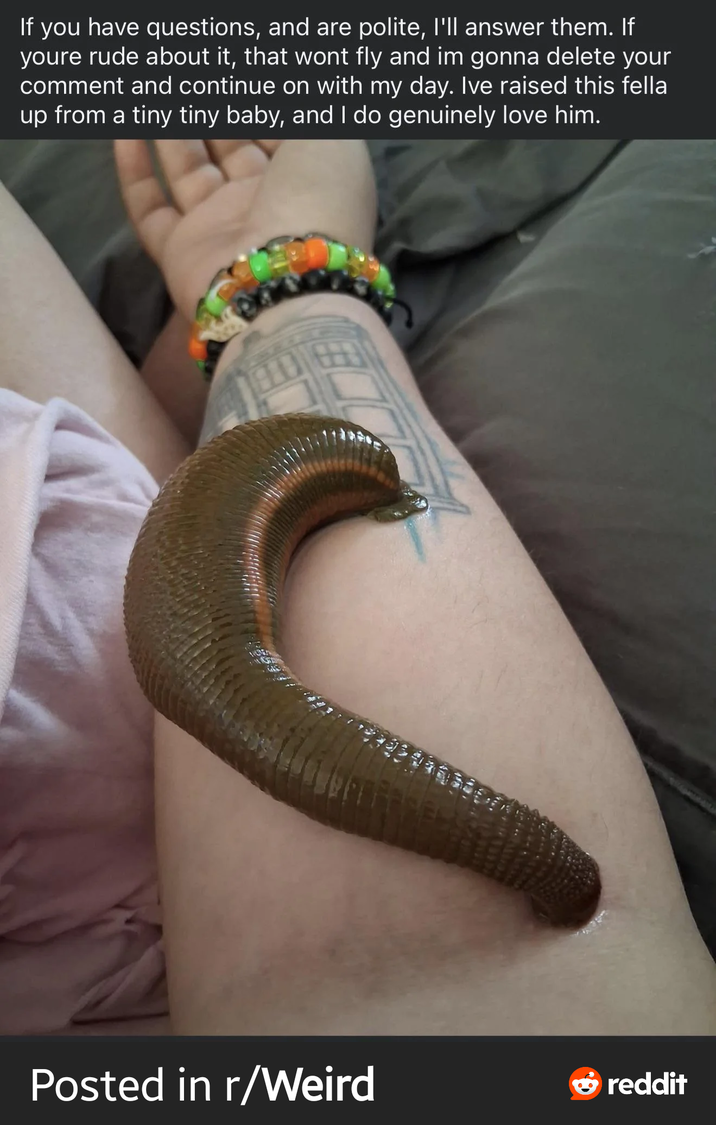 If you have questions, and are polite, I'll answer them. If youre rude about it, that wont fly and im gonna delete your comment and continue on with my day. Ive raised this fella up from a tiny tiny baby, and I do genuinely love him. Posted in r/Weird reddit