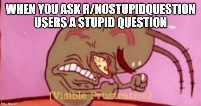 WHEN YOU ASK R/NOSTUPIDQUESTION imgflip.com USERS A STUPID QUESTION Visible Frustration