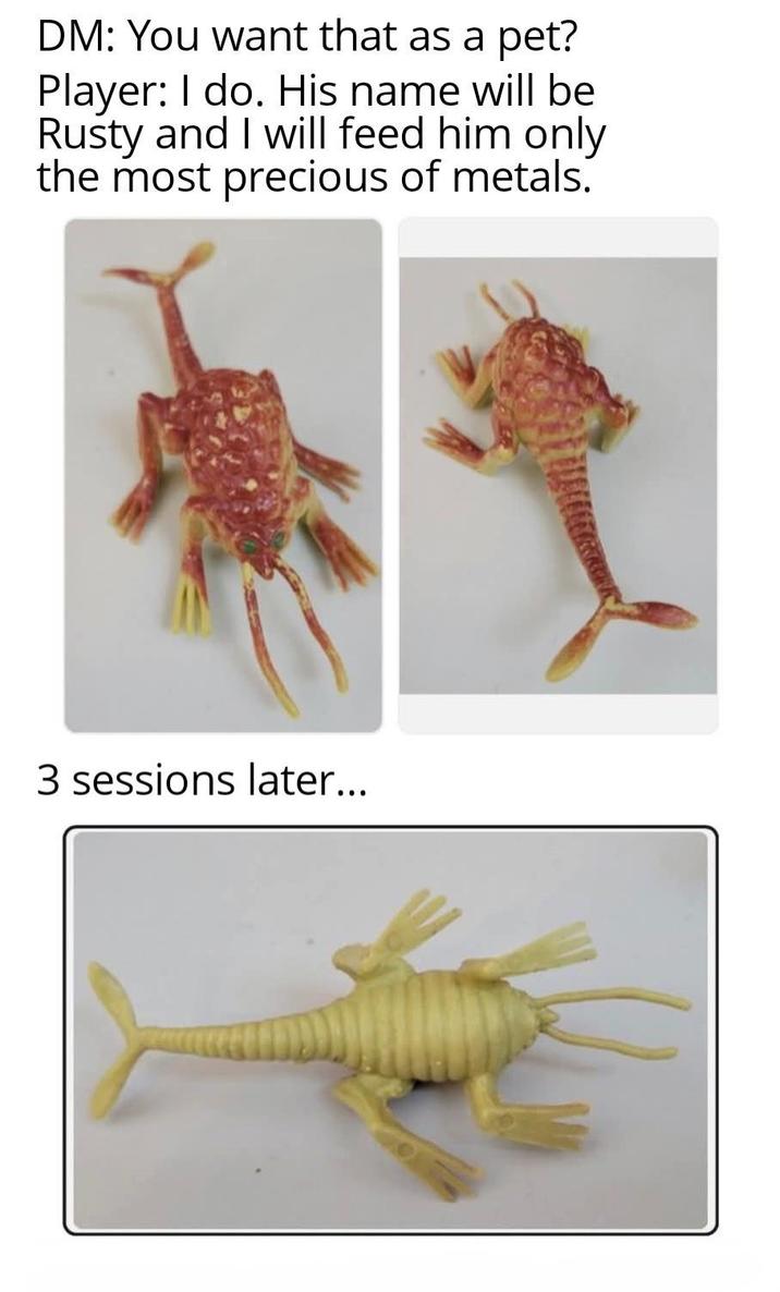 DM: You want that as a pet? Player: I do. His name will be Rusty and I will feed him only the most precious of metals. 3 sessions later...