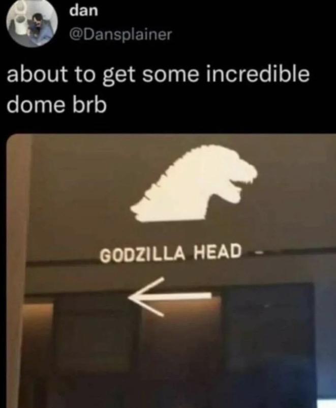dan @Dansplainer about to get some incredible dome brb GODZILLA HEAD