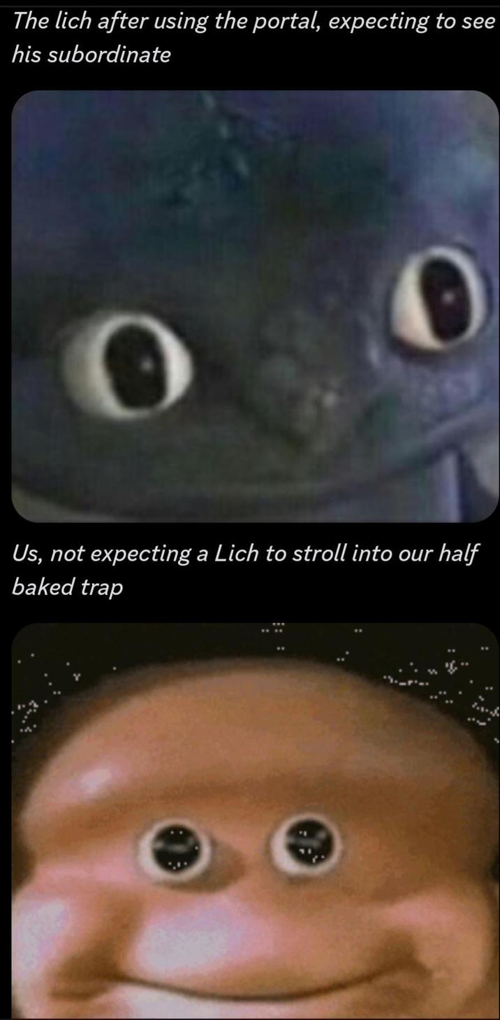 The lich after using the portal, expecting to see his subordinate Us, not expecting a Lich to stroll into our half baked trap