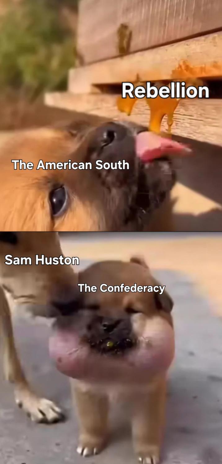 Rebellion The American South Sam Huston The Confederacy