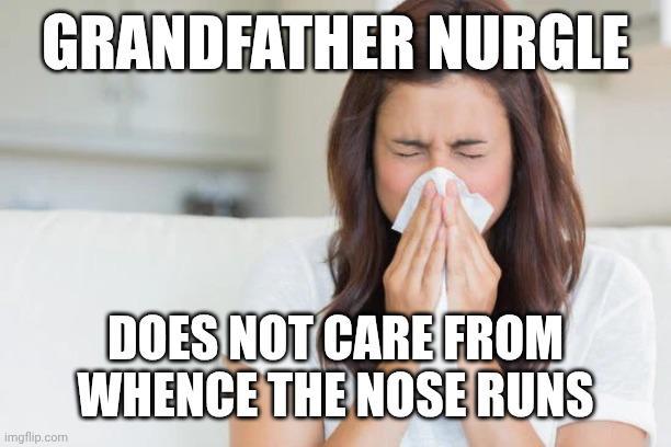 GRANDFATHER NURGLE imgflip.com DOES NOT CARE FROM WHENCE THE NOSE RUNS