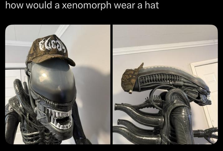 how would a xenomorph wear a hat