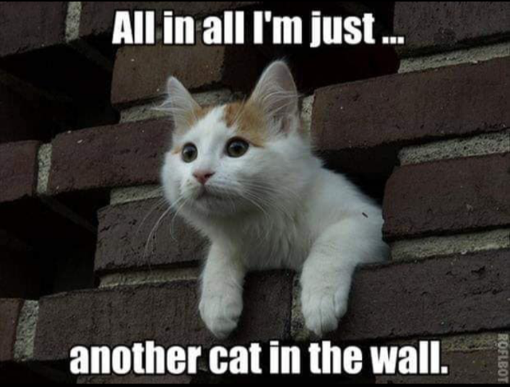 All in all I'm just ... another cat in the wall. ROFLBOT