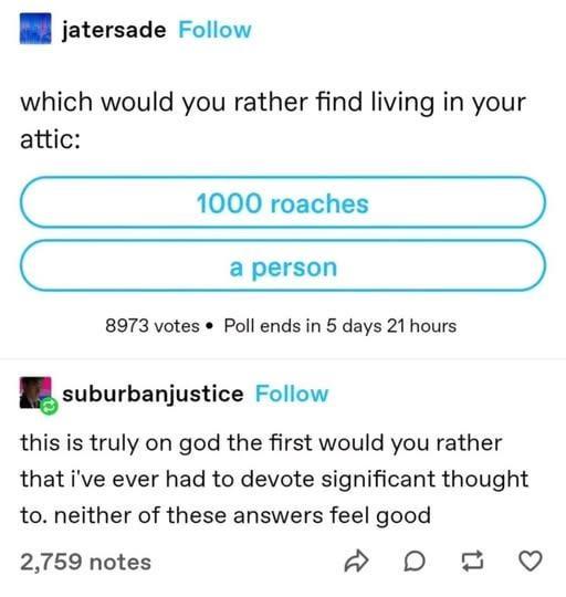 jatersade Follow which would you rather find living in your attic: 1000 roaches a person 8973 votes ⚫ Poll ends in 5 days 21 hours suburbanjustice Follow this is truly on god the first would you rather that i've ever had to devote significant thought to. neither of these answers feel good 2,759 notes D D