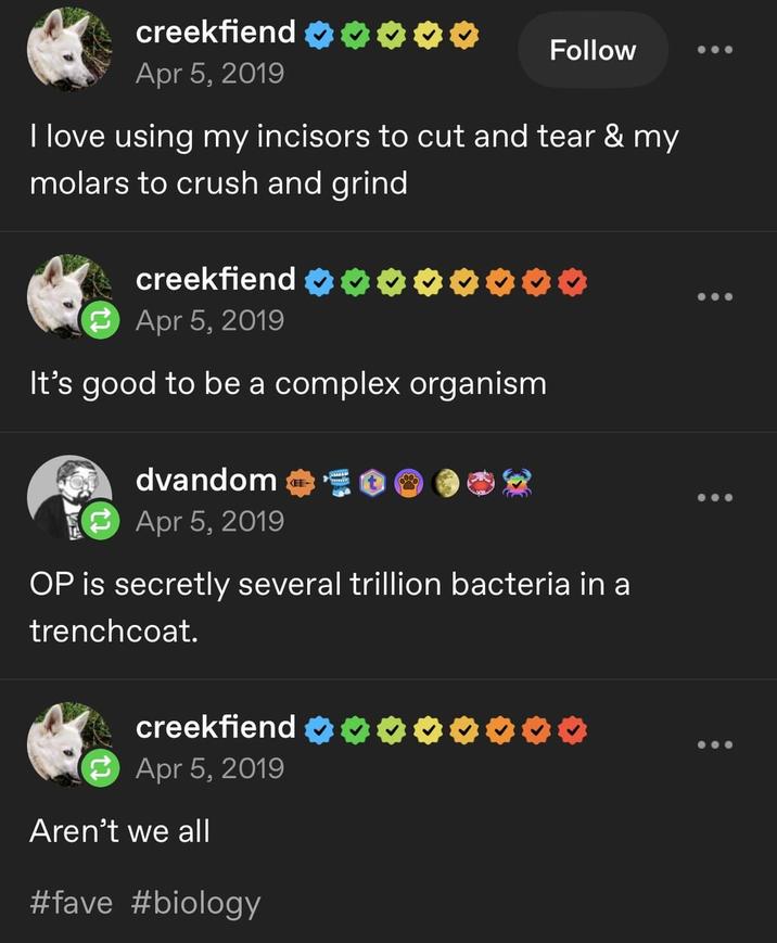 creekfiend Apr 5, 2019 Follow I love using my incisors to cut and tear & my molars to crush and grind creekfiend Apr 5, 2019 It's good to be a complex organism dvandom Apr 5, 2019 OP is secretly several trillion bacteria in a trenchcoat. creekfiend Apr 5, 2019 Aren't we all #fave #biology