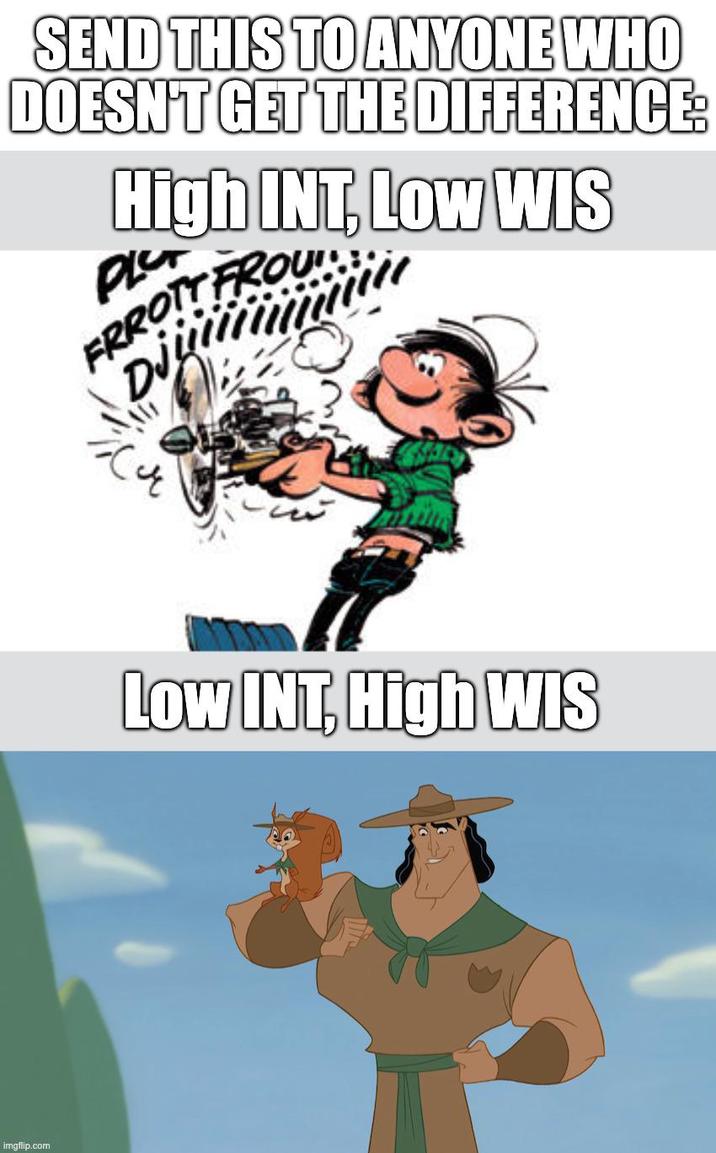 imgflip.com SEND THIS TO ANYONE WHO DOESN'T GET THE DIFFERENCE: High INT, Low WIS PLO FRROTT FROU Dj Low INT, High WIS