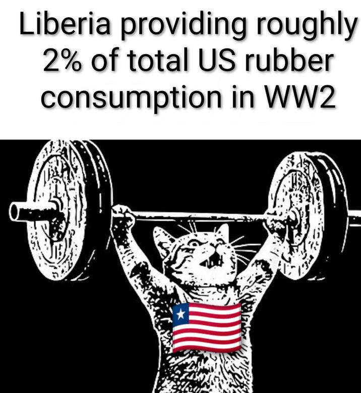 Liberia providing roughly 2% of total US rubber consumption in WW2