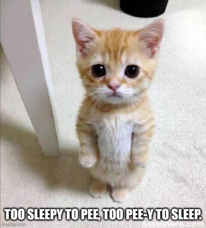 TOO SLEEPY TO PEE, TOO PEE-Y TO SLEEP. imgflip.com