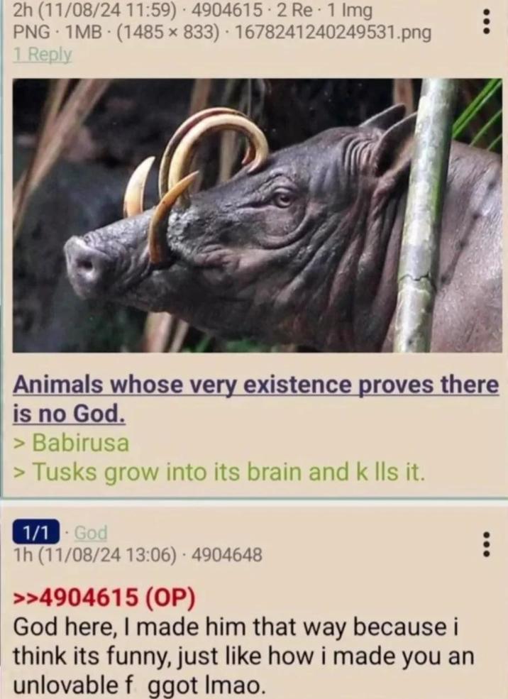 2h (11/08/24 11:59) 4904615.2 Re. 1 Img PNG 1MB (1485 x 833) 1678241240249531.png 1 Reply Animals whose very existence proves there is no God. > Babirusa > Tusks grow into its brain and k lls it. 1/1 God . 1h (11/08/24 13:06) - 4904648 >>4904615 (OP) God here, I made him that way because i think its funny, just like how i made you an unlovable f ggot Imao.