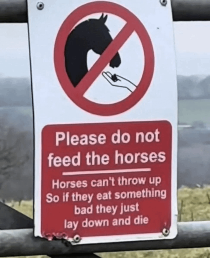 Please do not feed the horses Horses can't throw up So if they eat something bad they just lay down and die