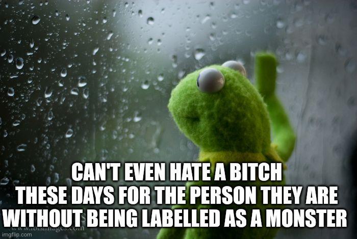 CAN'T EVEN HATE A BITCH THESE DAYS FOR THE PERSON THEY ARE WITHOUT BEING LABELLED AS A MONSTER imgflip.com