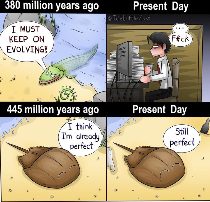 380 million years ago I MUST KEEP ON Present Day @Idiot ofthe East F*ck EVOLVING! 445 million years ago of I think I'm already perfect 000 [ Present Day Still perfect