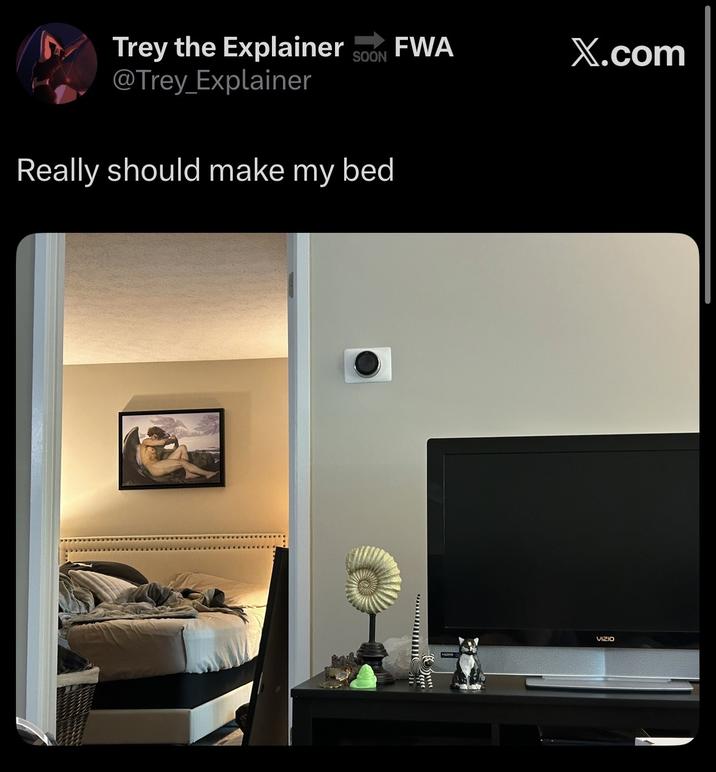 FWA SOON X.com Trey the Explainer @Trey_Explainer Really should make my bed VIZIO