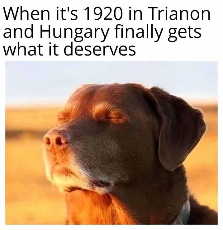 When it's 1920 in Trianon and Hungary finally gets what it deserves