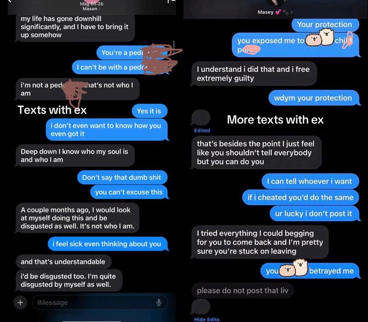 Screenshots allegedly showing conversations between Hullo and his ex. They are talking about him allegedly buying CSAM.