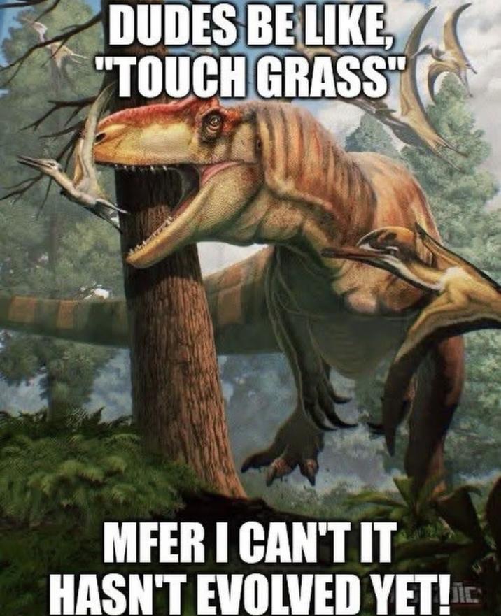 DUDES BE LIKE, "TOUCH GRASS" MFER I CAN'T IT HASN'T EVOLVED YET!