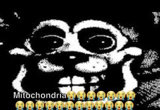 Mitochondria 00000
