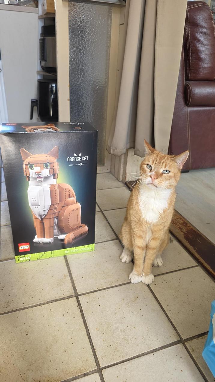 LEGO IDEAS 69 ORATIGE GAT ORANGE CAT LEGO IDEAS 073 CURRE B 18-21376 1755 pcs