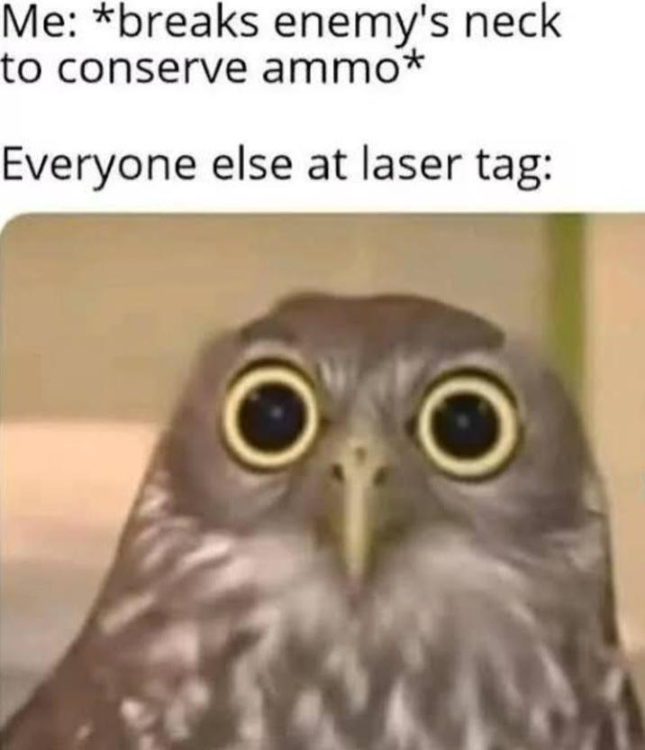 Me: *breaks enemy's neck to conserve ammo* Everyone else at laser tag: