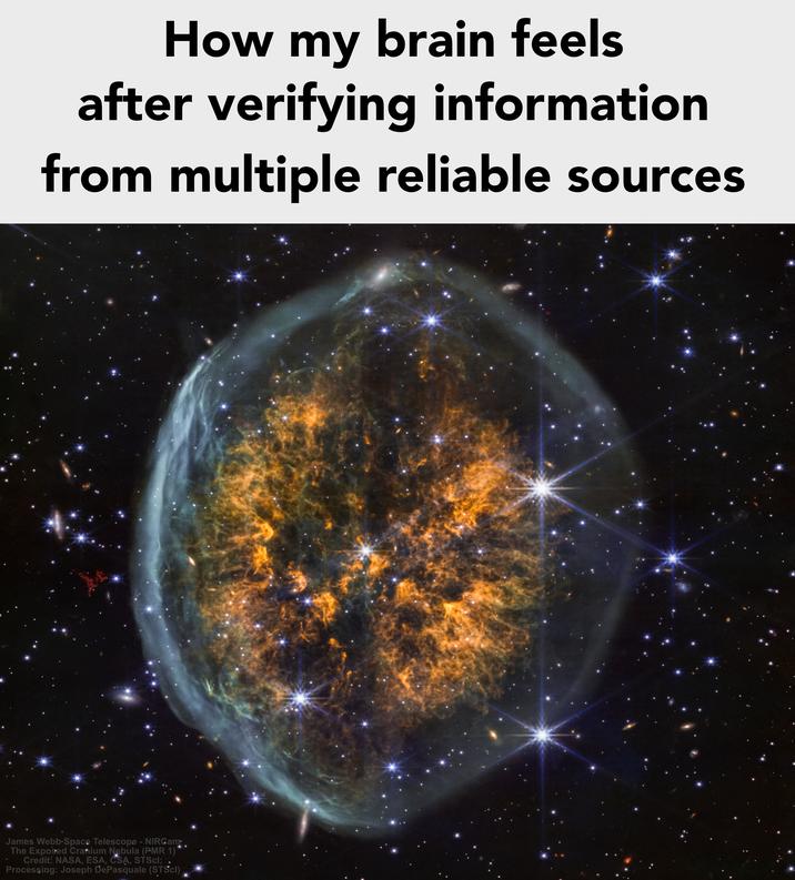 How my brain feels after verifying information from multiple reliable sources James Webb Space Telescope - NIRCam The Exposed Cranium Nebula (PMR 1) Credit: NASA, ESA, CSA, STScI; Processing: Joseph DePasquale (STScI)
