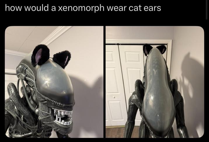 how would a xenomorph wear cat ears