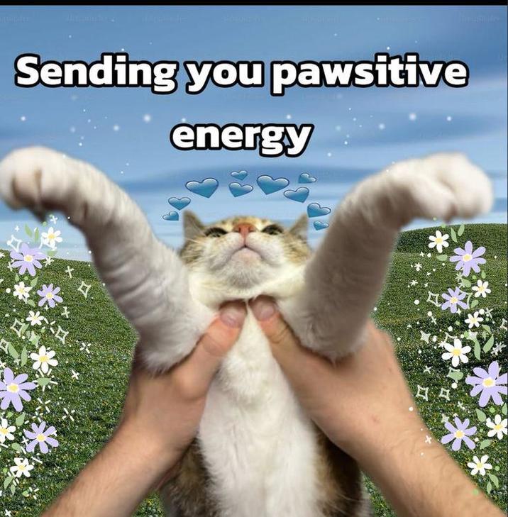 Sending you pawsitive energy * r. ** A