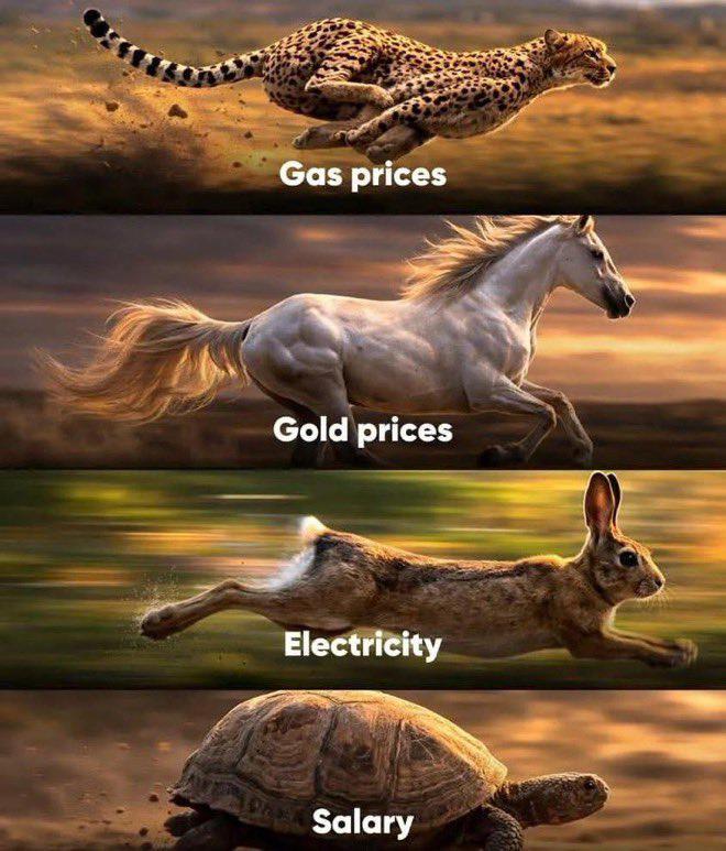 Gas prices Gold prices Electricity Salary