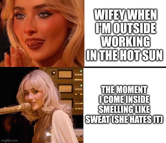 imgflip.com WIFEY WHEN I'M OUTSIDE WORKING IN THE HOT SUN THE MOMENT ICOME INSIDE SMELLING LIKE SWEAT (SHE HATES IT)